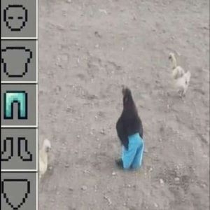 Meet your Posher, Nery